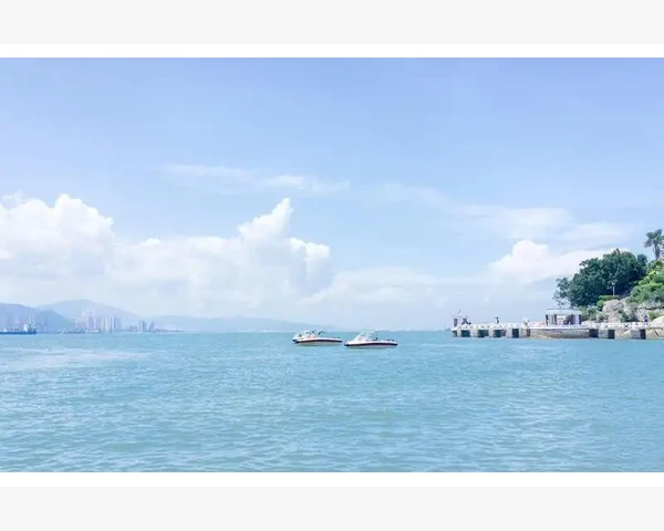 健脾胃除口臭茶饮推荐：天然方法改善健康